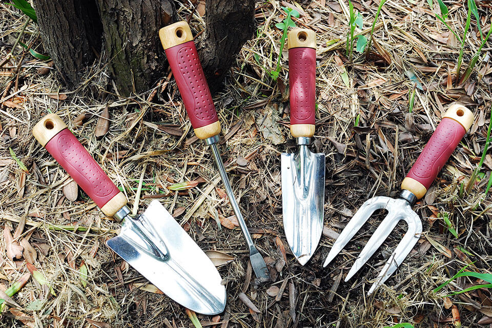 Tools: Thai Kitchen & Garden Shears – The Bernice Garden